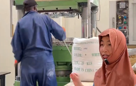 پلیٹوں اور پیالوں کے لیے تیز رفتار 300-ٹن سنگل کلر پریس مشین